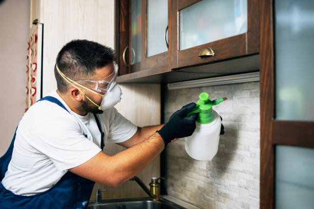 Best Pest Control for Restaurants  in Old Mystic, CT